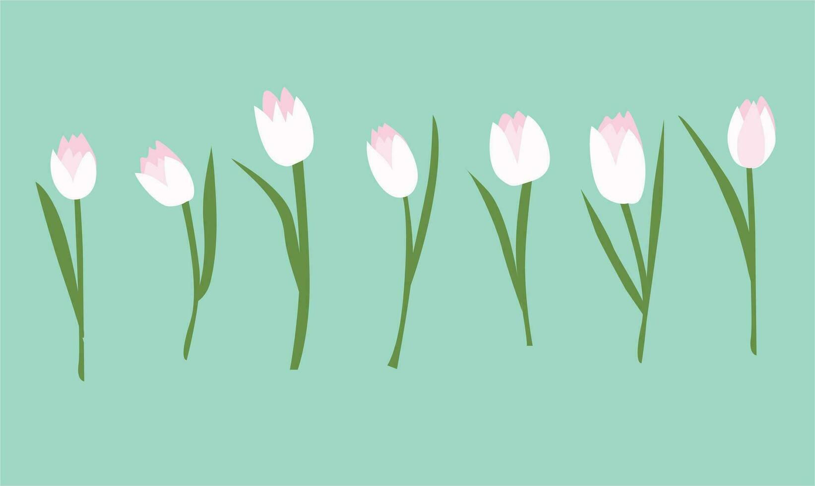 Tulip flower vector illustration. Pink tulip vector. Spring flower. Floral clip art. Nature concept. Flowers and plants. Flat vector in cartoon style isolated on white background.