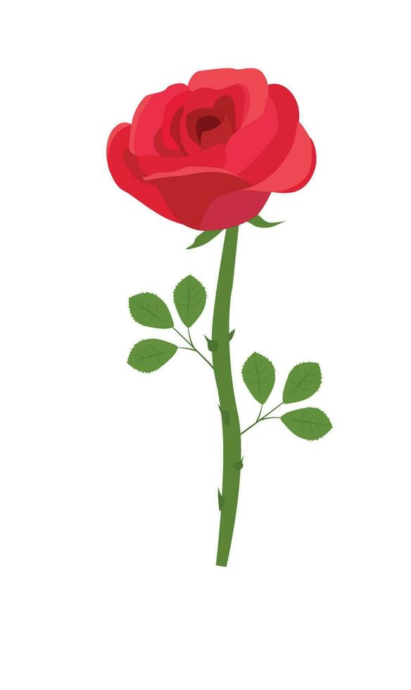 Rose flower vector illustration.  Red rose vector. Love flower. Floral clip art. Nature concept. Flowers and plants. Flat vector in cartoon style isolated on white background.