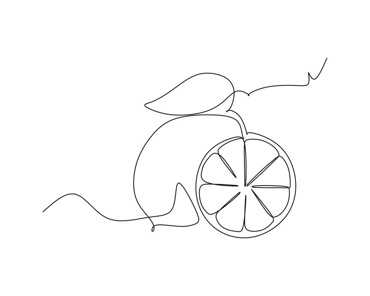 Continuous one line drawing of lemon fruit on a white background. vector