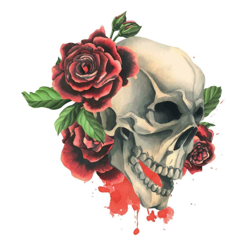 Human skulls with red roses and leaves. Hand drawn watercolor illustration. Isolated composition on a white background. vector