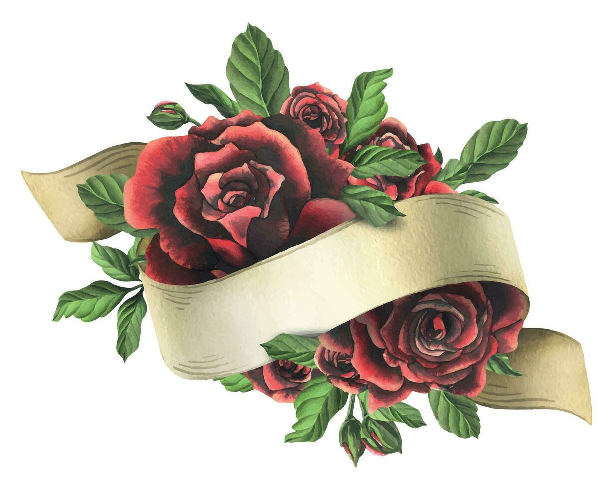 Redblack rose flowers with green leaves, paper ribbon and buds, chic, bright, beautiful. Hand drawn watercolor illustration. Isolated composition on a white background, for decoration and design vector