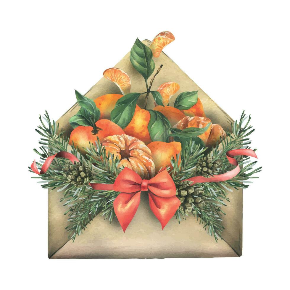 A bunch of tangerines with leaves with an insignia of pine branches with a red bow, ribbons in craft envelope. Watercolor illustration, hand drawn. Composition on a white background, for Christmas. vector