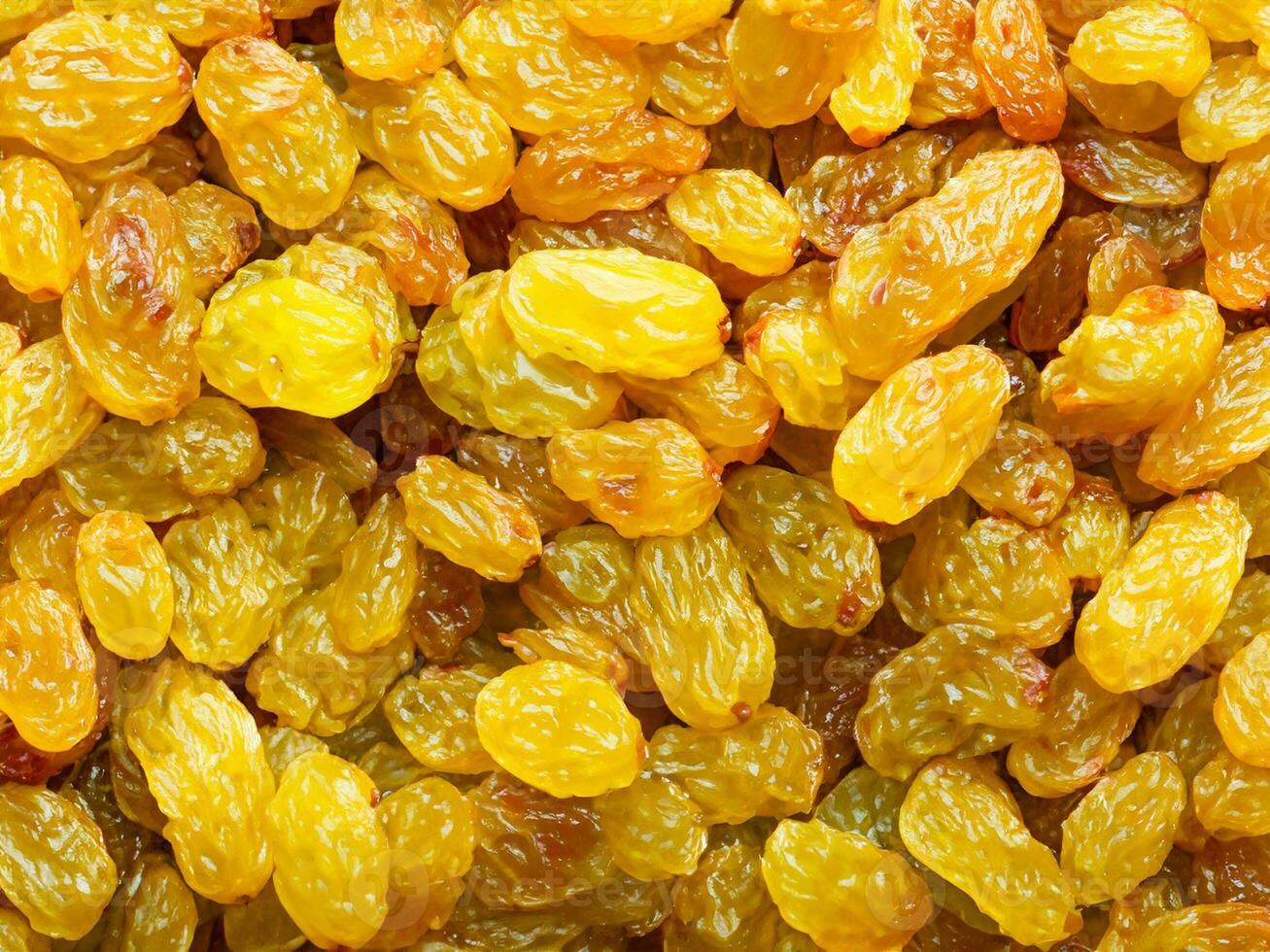 dried yellow raisins background. macro shot. photo