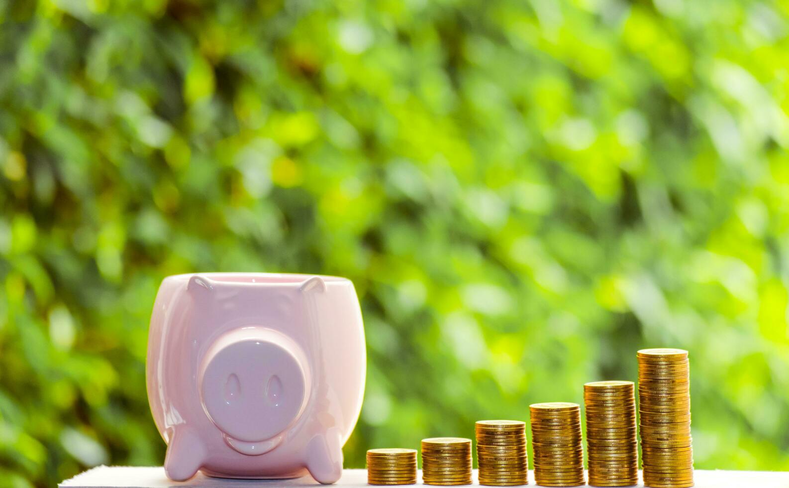 Business Finance and Money concept,with Piggy bank,Save money for prepare in the future.tree growing on coin of stacking gold coins with green bokeh background photo