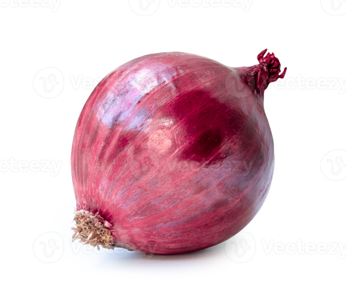 Fresh red onion bulb isolated with clipping path. png