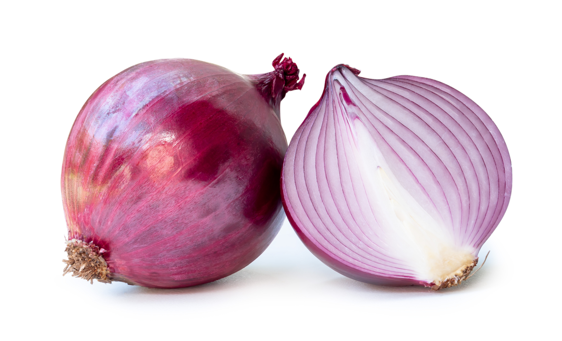 Fresh red onion bulb with half isolated with clipping path and shadow