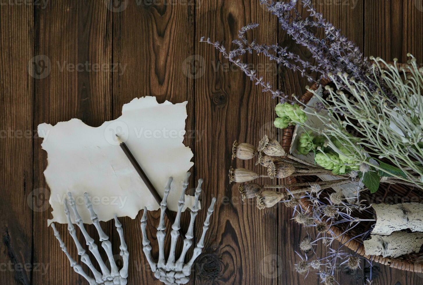 Skeleton paws write down a magic potion recipe photo