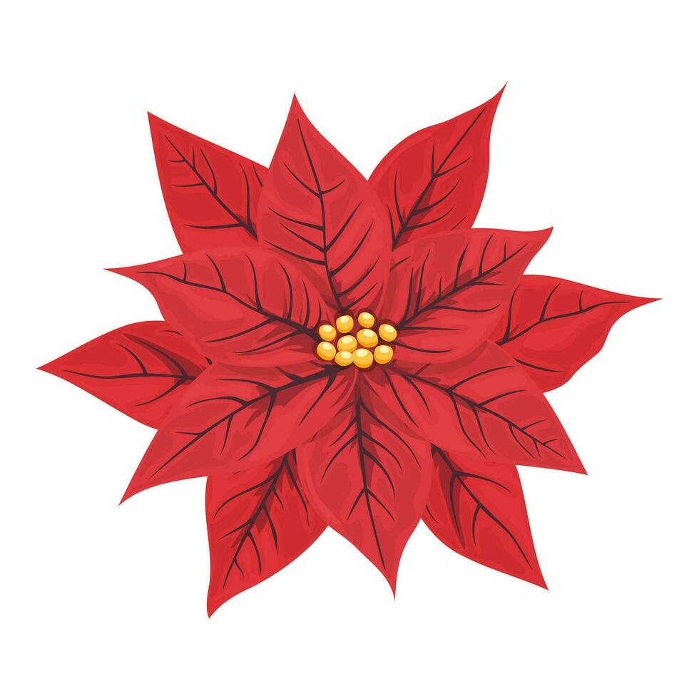 rojo Navidad o nuevo año flor de pascua flor. aislado floral decoración para saludo tarjeta diseño, invitación, fiesta antecedentes. vector ilustración.