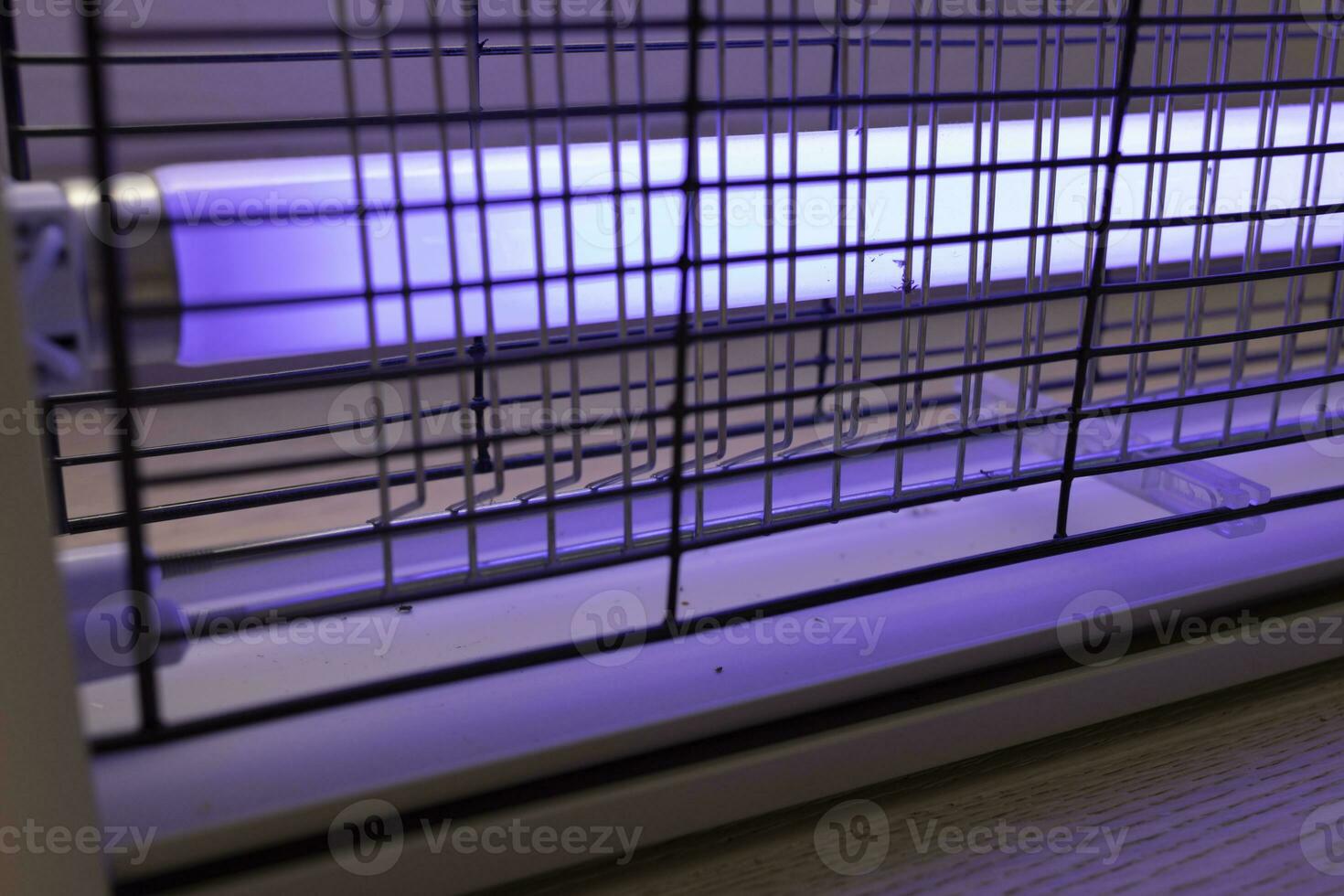 Closeup Electric Mosquito, Insect Zapper With Blue Purple Lights and Dead Flies. Bug Killer Lamp on Wooden Floor in Room. Fly Trap for Outdoor and Indoor. Horizontal Plane photo