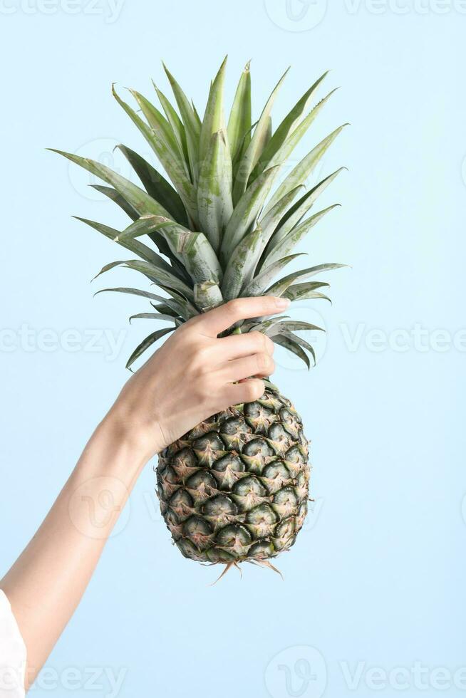Hand Holding Food photo