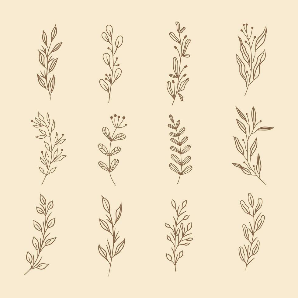 línea hojas botánico floral colección sencillo vector