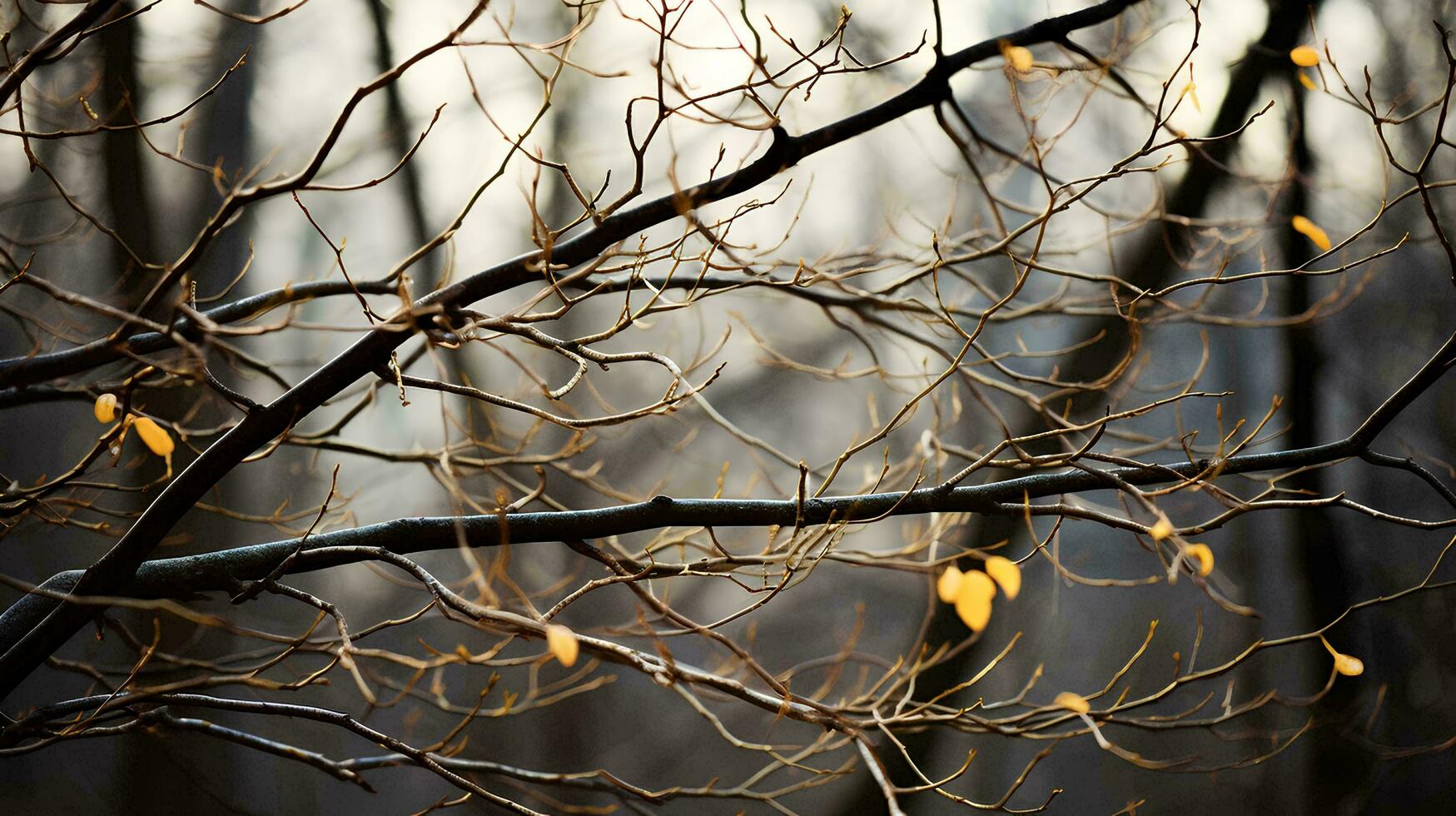 lush trees with no leaves left only twigs and branches, AI Generative photo