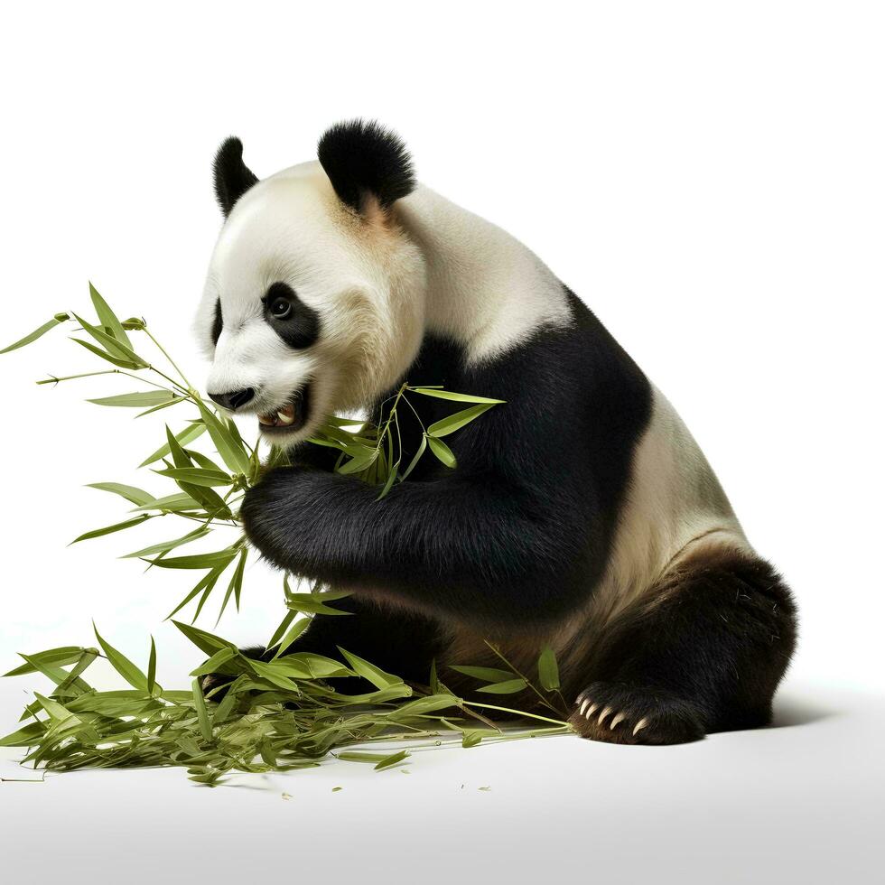 un panda comiendo bambú en un aislado blanco fondo, ai generativo foto