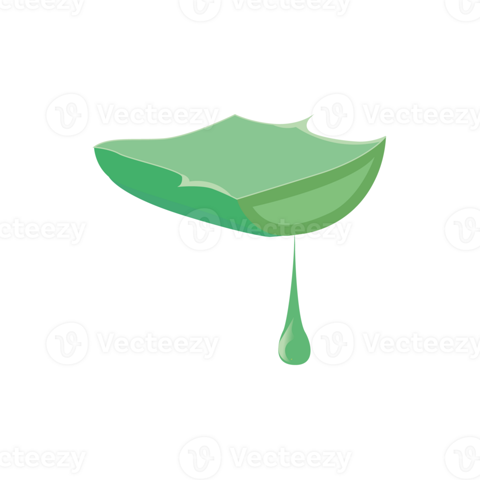 cortado áloe vera hoja con petróleo esencia gota. natural verde orgánico dermatológico producto vitaminas cosmético para piel salud. png