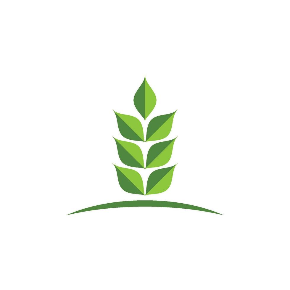 logotipos de la ecología de la hoja del árbol verde vector