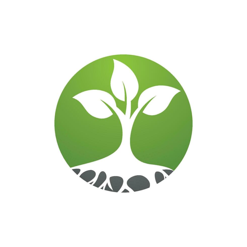 Logos of green Tree leaf ecology vector