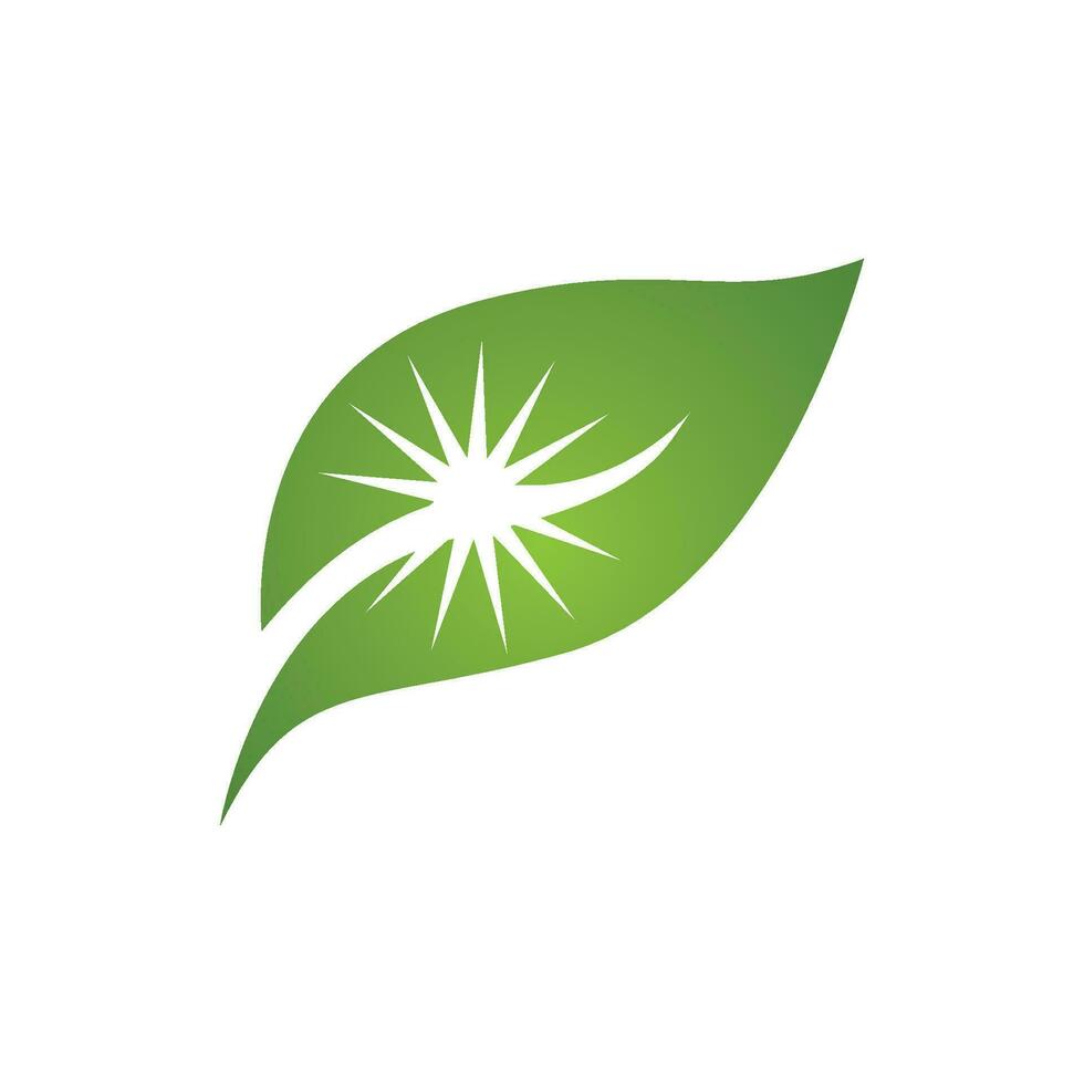 logotipos de la ecología de la hoja del árbol verde vector