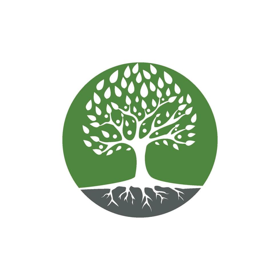 Logos of green Tree leaf ecology vector