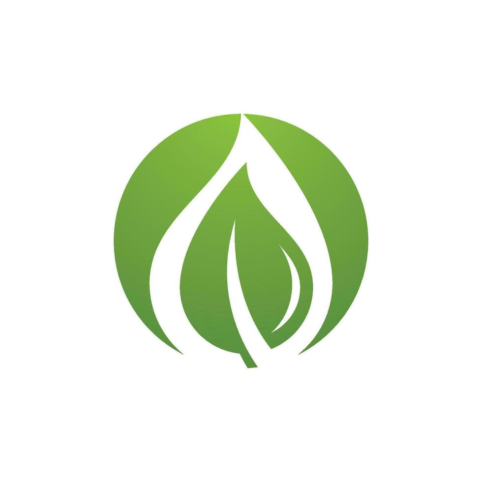 logotipos de la ecología de la hoja del árbol verde vector