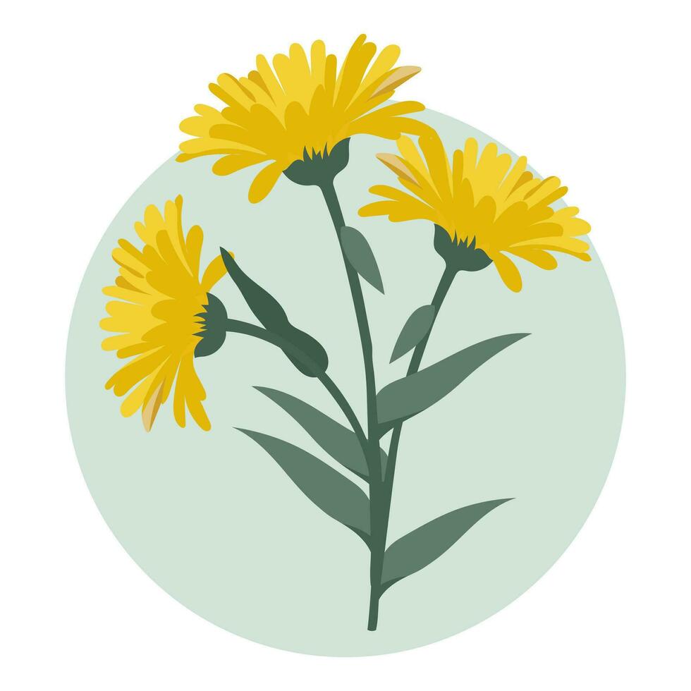 ramo de flores de amarillo diente de león flores botánico ilustración, decoración elemento, vector