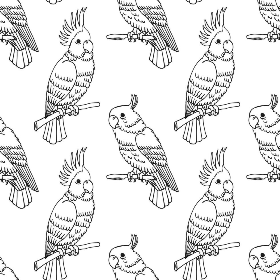 Seamless pattern, hand-drawn tropical birds parrots. Black and white print, background. Outline drawing, sketch. Vector