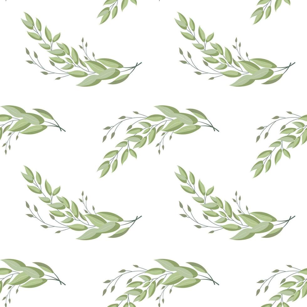 Seamless pattern, twigs and leaves of eucalyptus on a white background. Background, print, elegant textile, vector