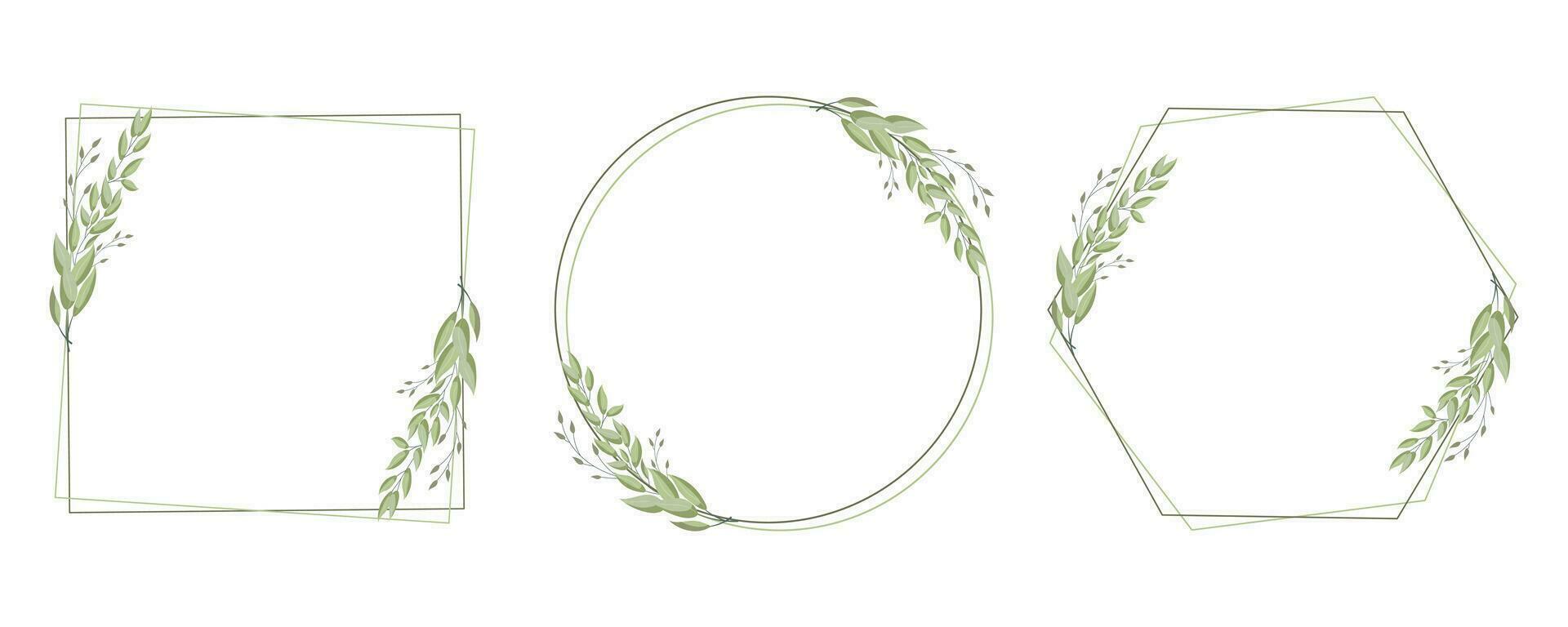 Set of geometric frames, wreaths with delicate branches of laurel leaves, eucalyptus leaves. Templates for cards and invitations in boho style. Vector