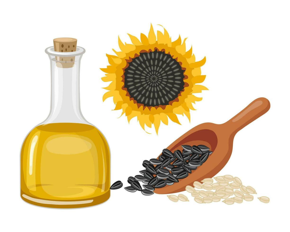 Sunflower set. Sunflower oil, sunflower plant, seeds in a canvas bag, wooden spoon and bowl. Agriculture, food. Vector