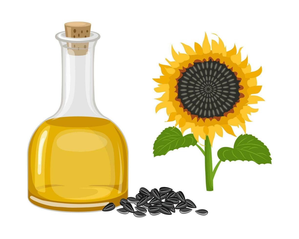 Sunflower set. Sunflower oil, sunflower plant, seeds in a canvas bag, wooden spoon and bowl. Agriculture, food. Vector