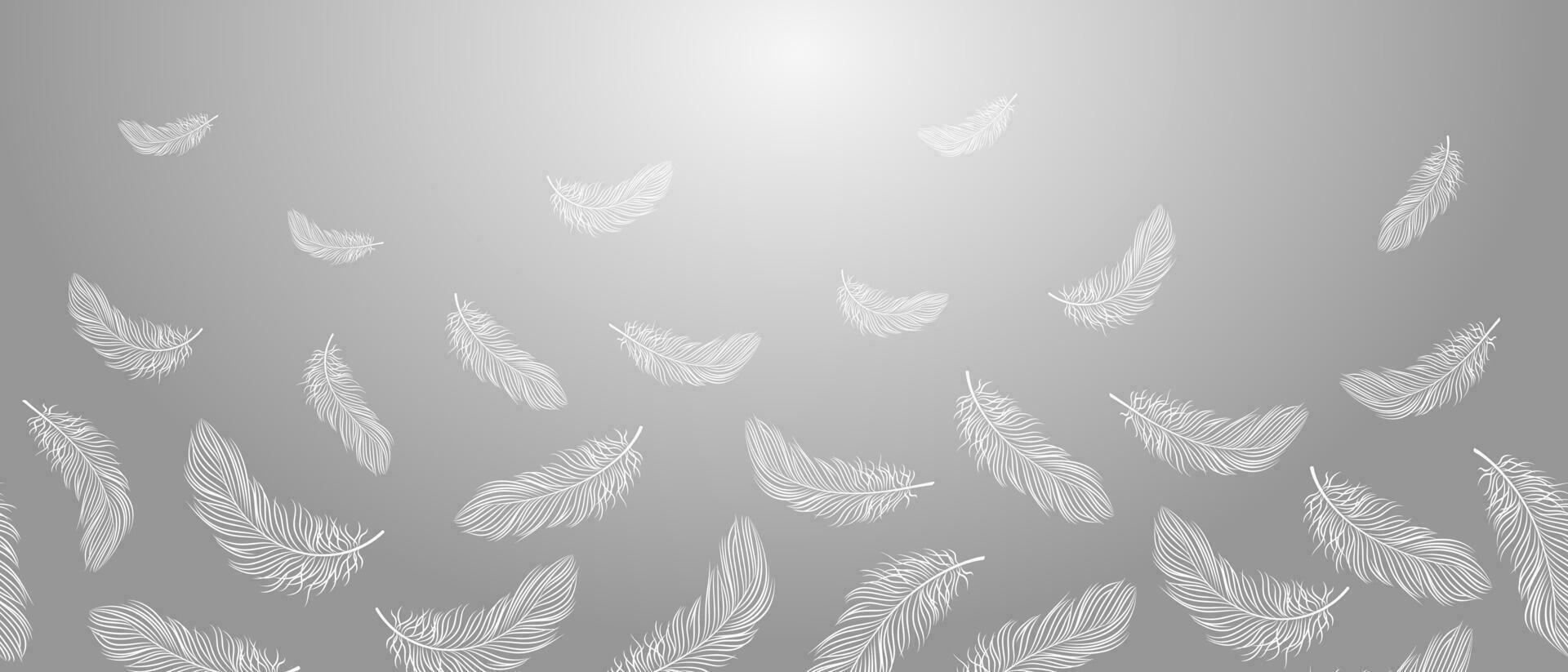 Seamless border, white feathers falling on a gray background. Feather abstract concept of freedom. Background with copy space, vector