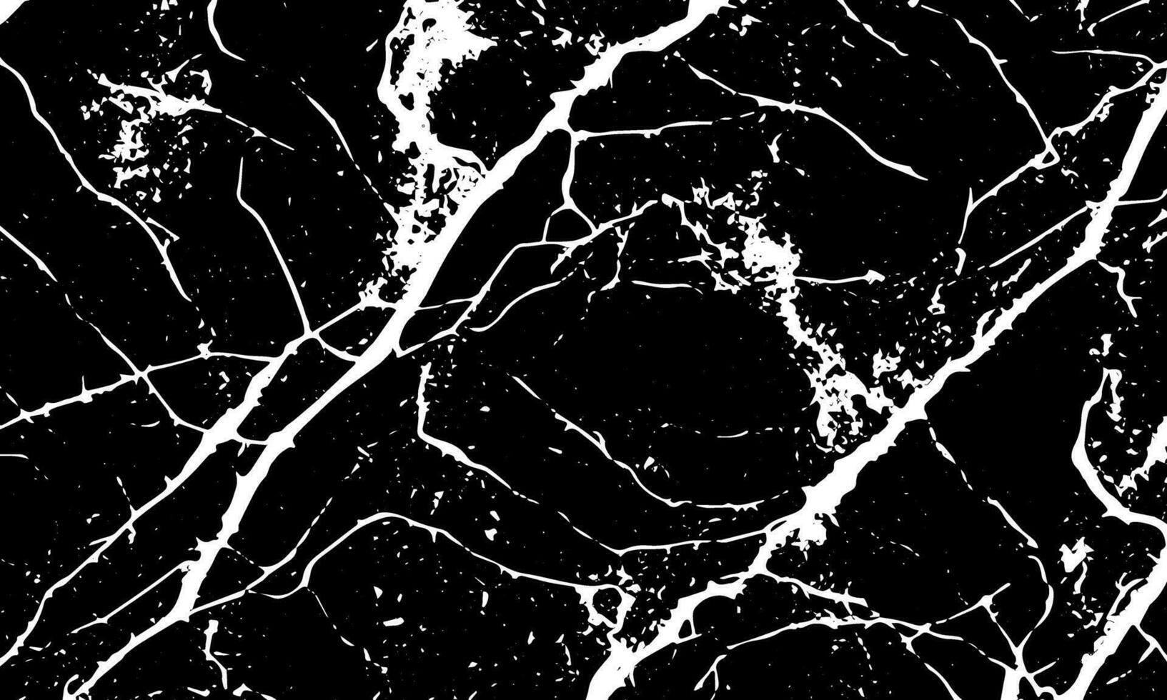 black and white marble texture background vector