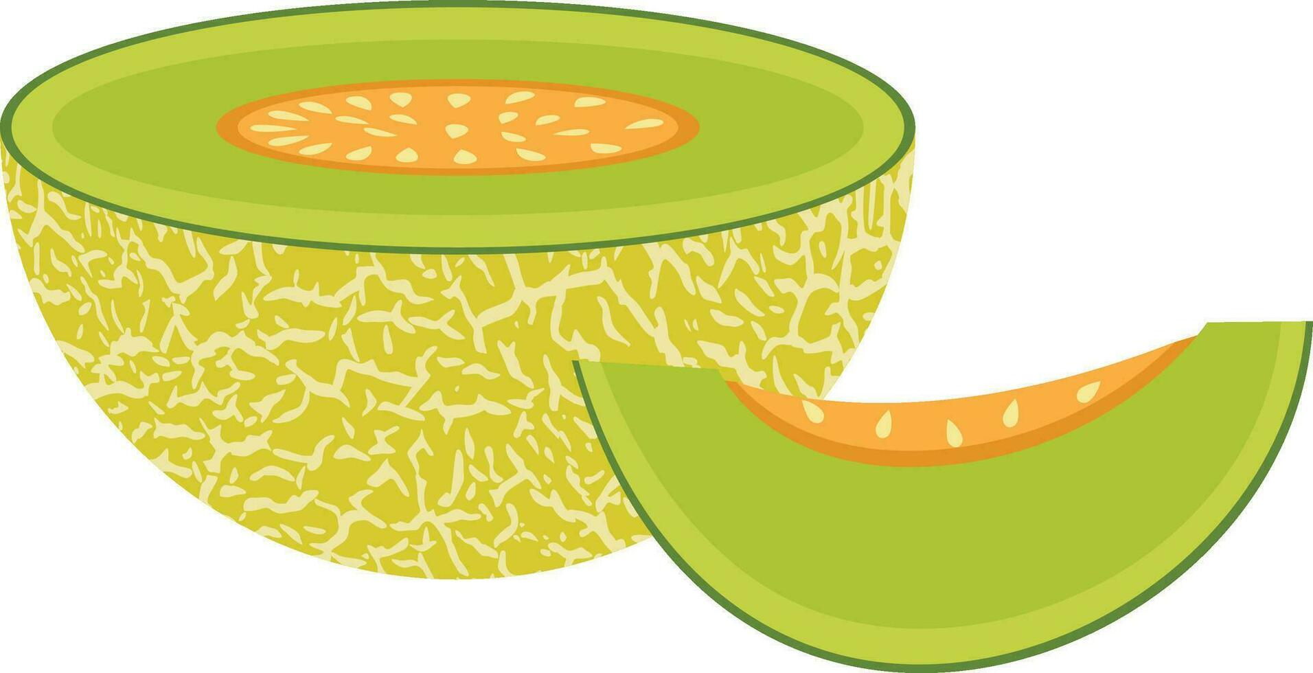 Half and slice of green melon vector