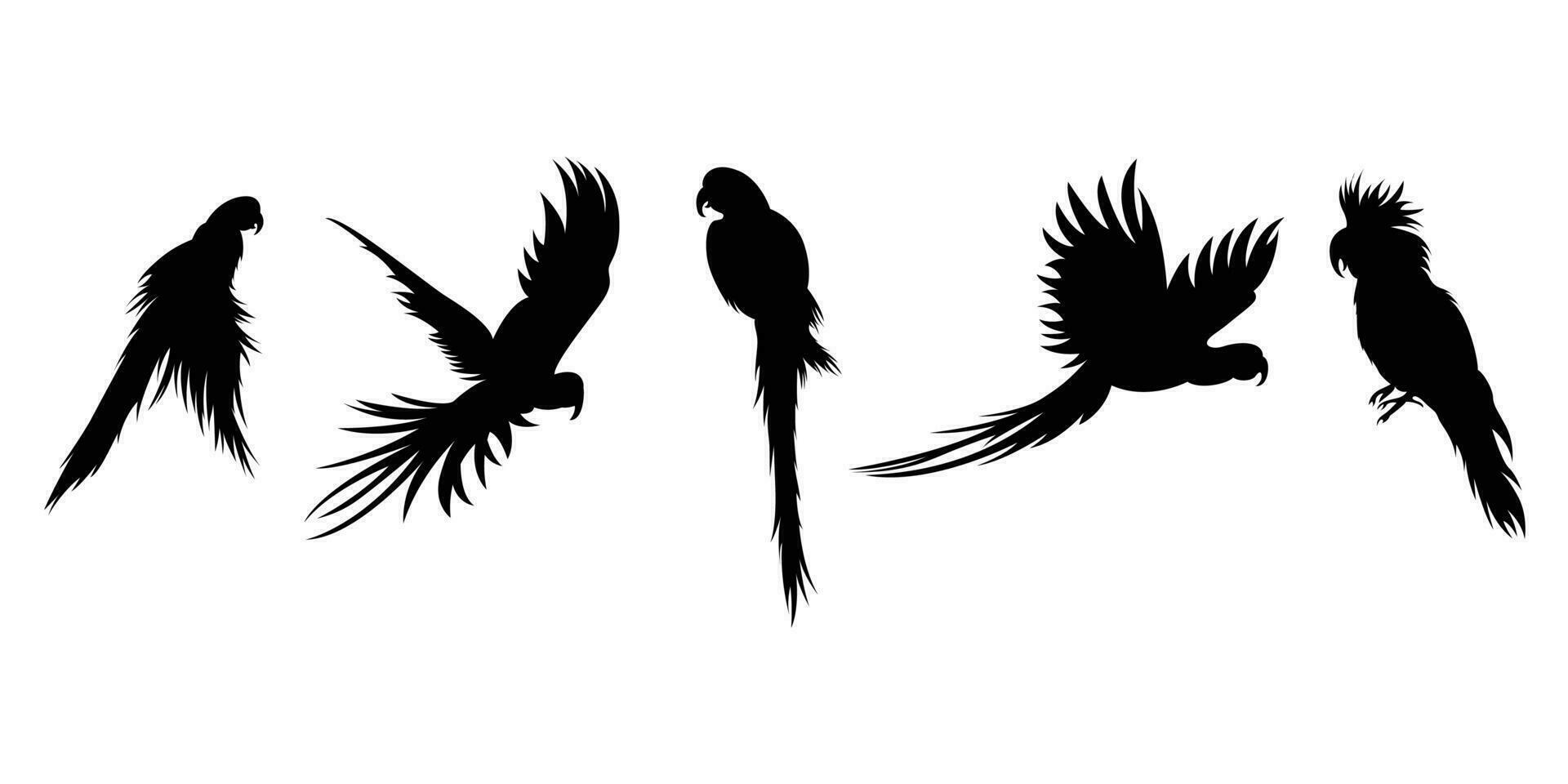 Collection of vector silhouettes of birds