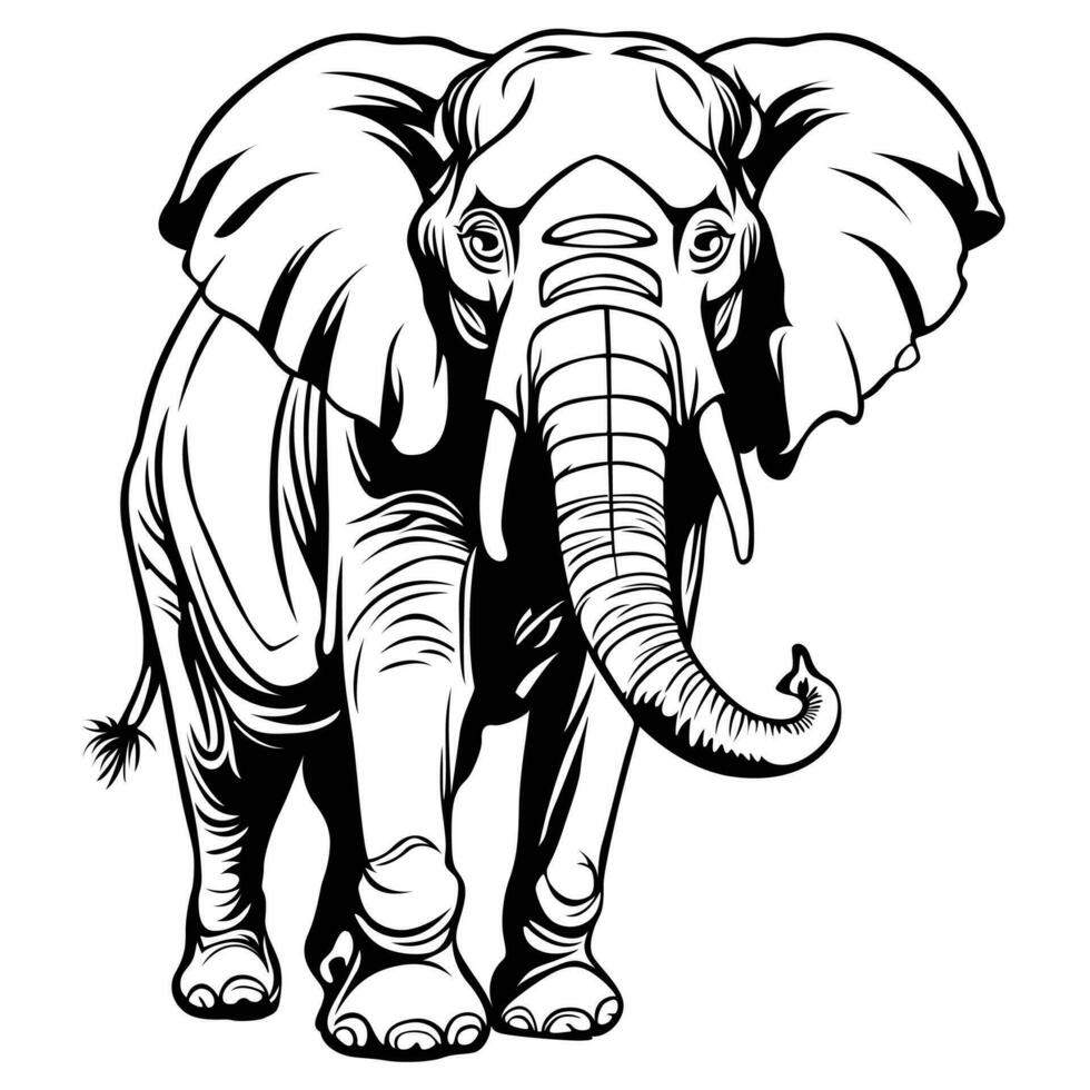 elephant outline drawing using a vector format