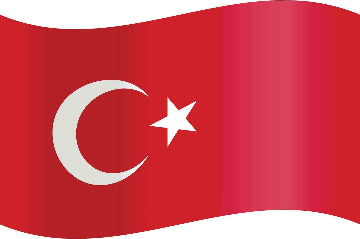 Turkey's national flag in its official colors vector
