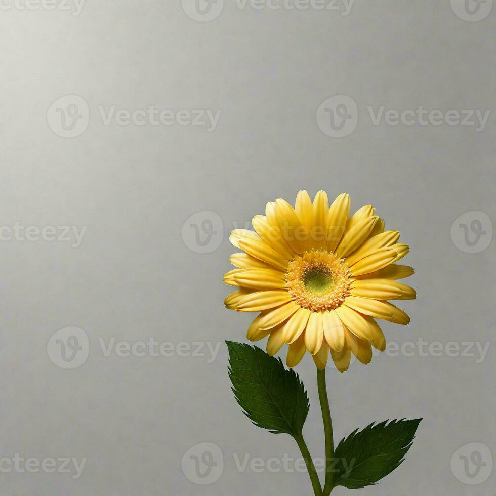 yellow vase isolated on white background. ai generative photo