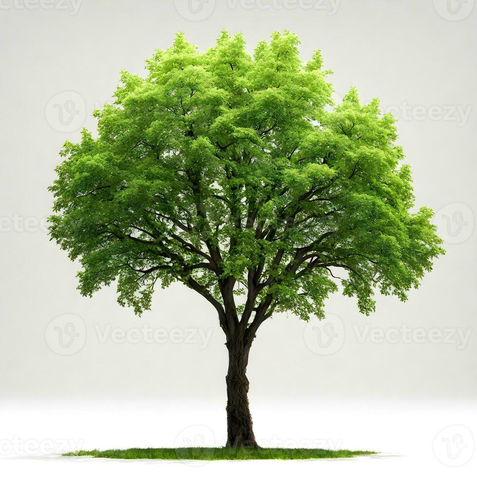 verde árbol aislado en blanco antecedentes. ai generativo foto