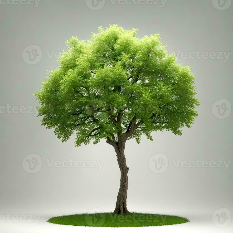 verde árbol aislado en blanco antecedentes. ai generativo foto