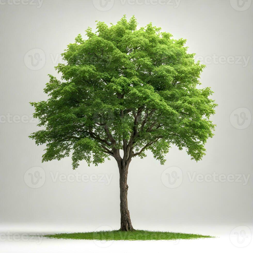 verde árbol aislado en blanco antecedentes. ai generativo foto