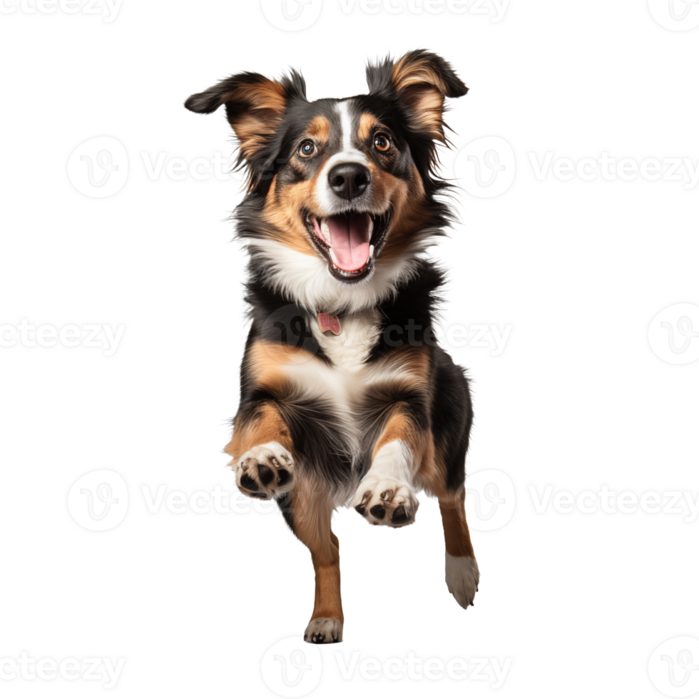 Cute playful and adroable dog transparent background AI Generative png