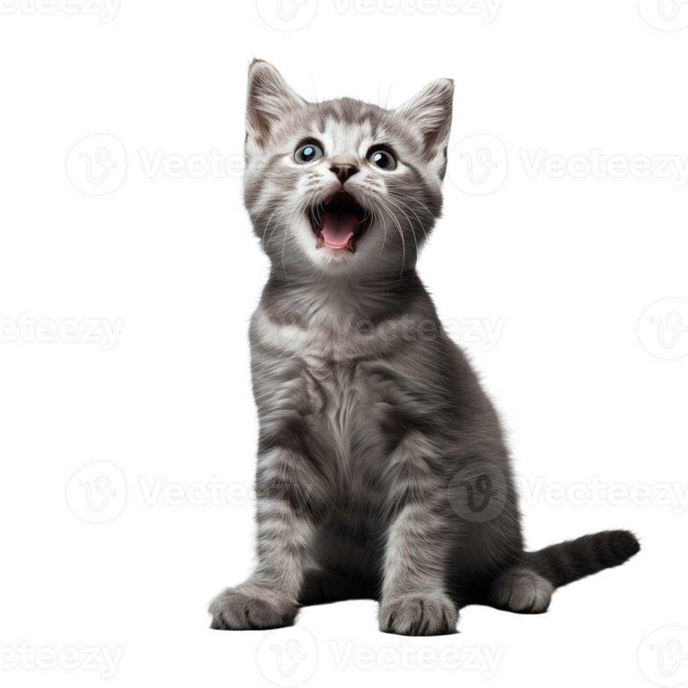 Cute playful and adroable cat transparent background AI Generative png