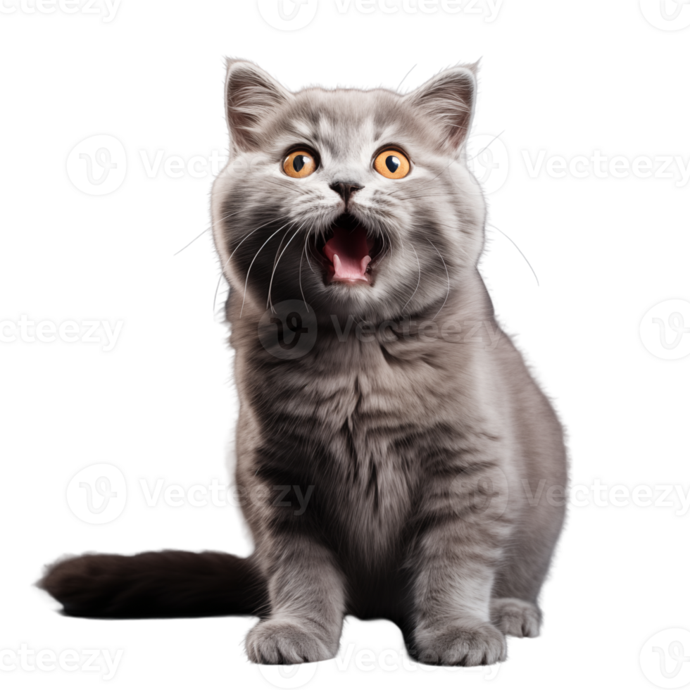 Cute playful and adroable cat transparent background AI Generative png