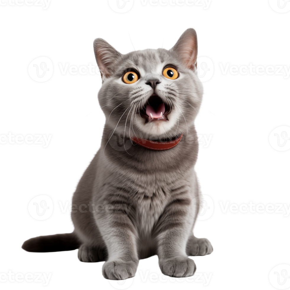 Cute playful and adroable cat transparent background AI Generative png