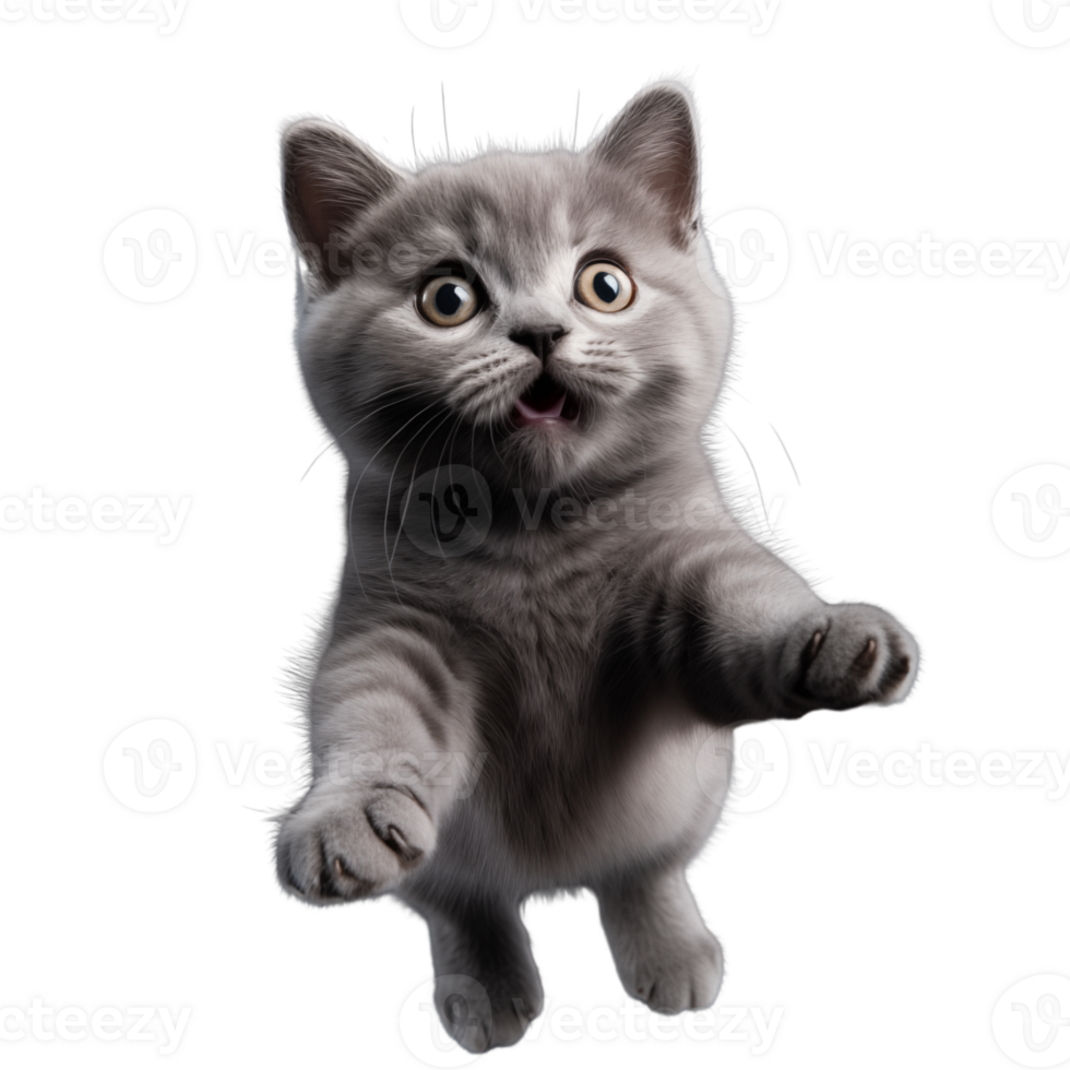 Cute playful and adroable cat transparent background AI Generative png
