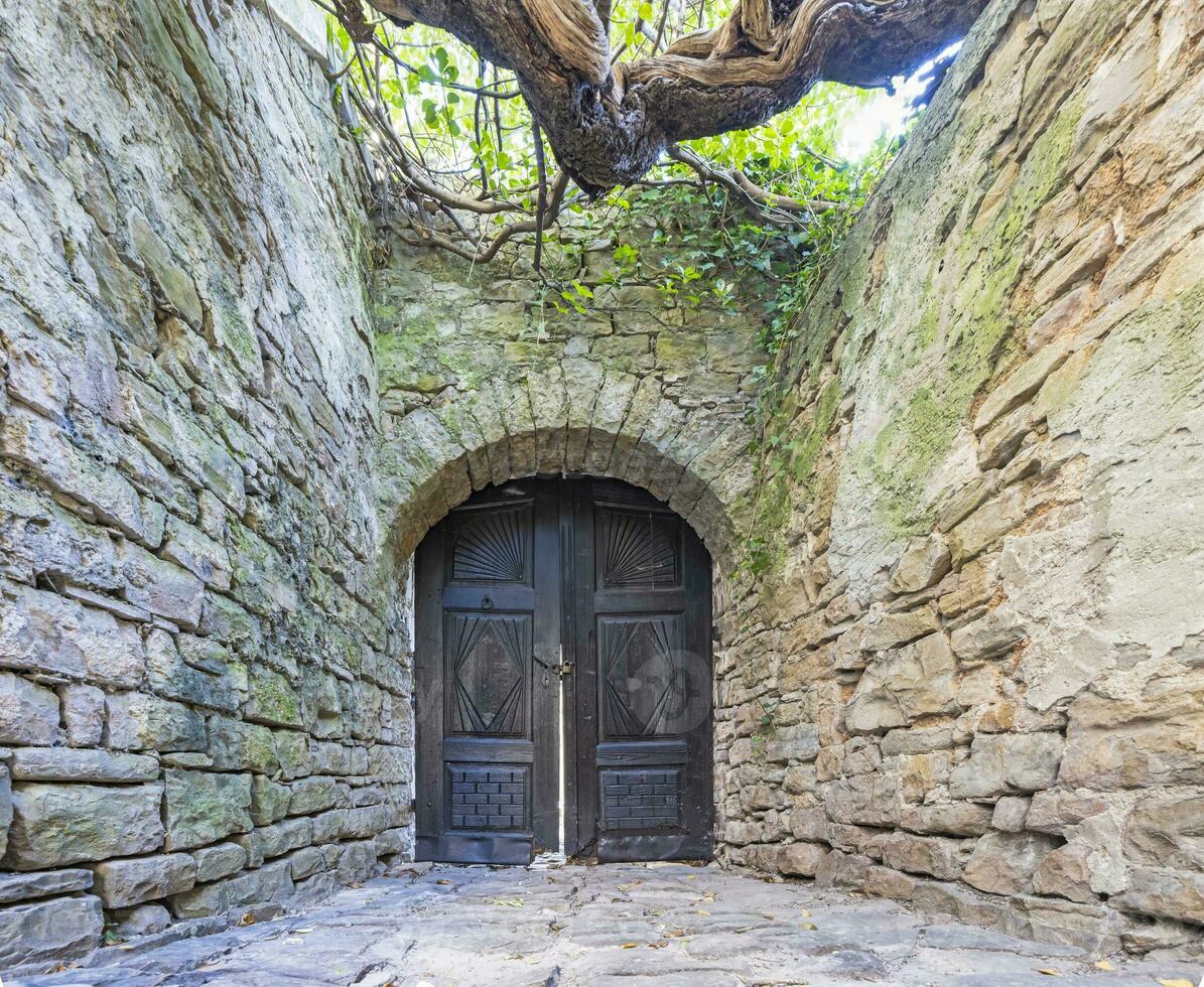 View of a wooden brown gate in a historic overgrown natural stone wall from the ground photo