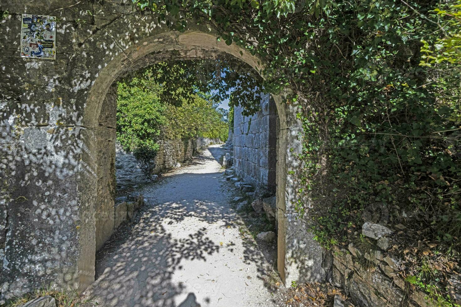 View through a curved overgrown gate onto an unpaved path in a medieval castle ruin photo