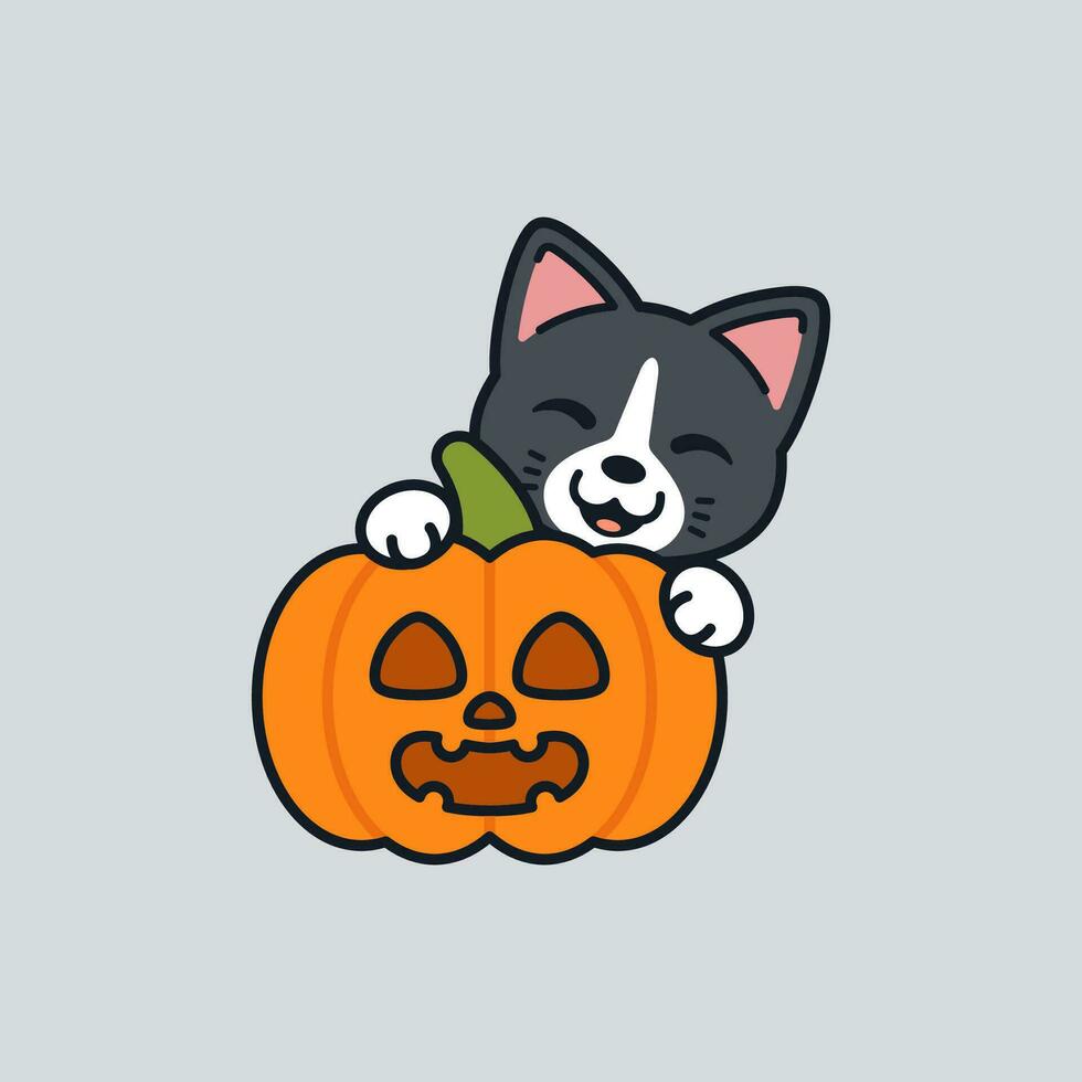 Vector Cute Cat With Jack o Lantern