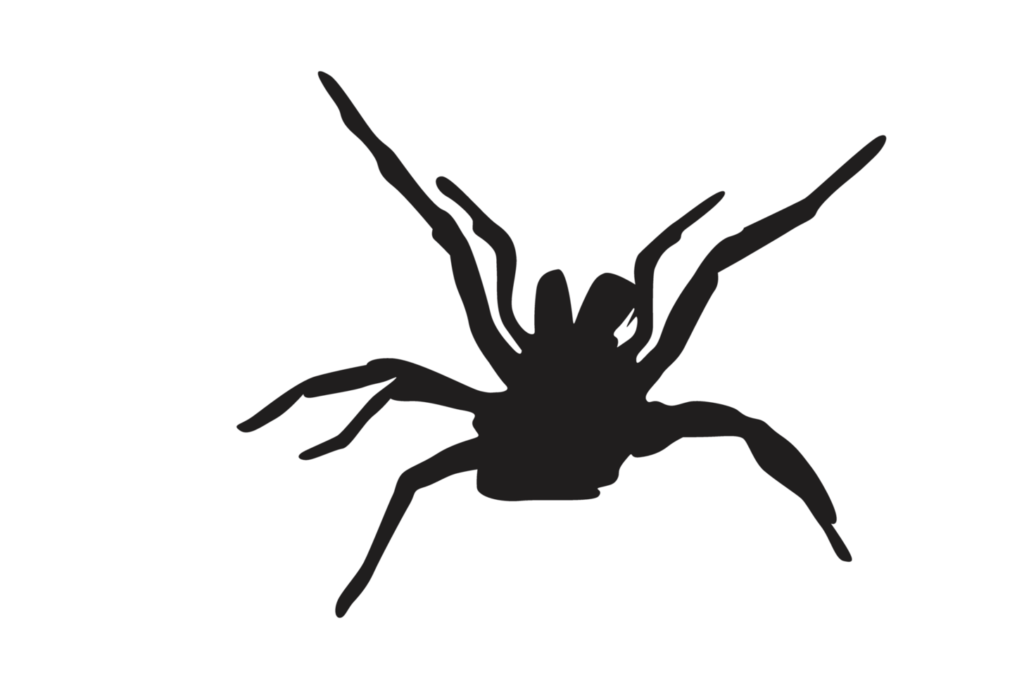 Animal-Insect-Spider Silhouette Pattern Background png