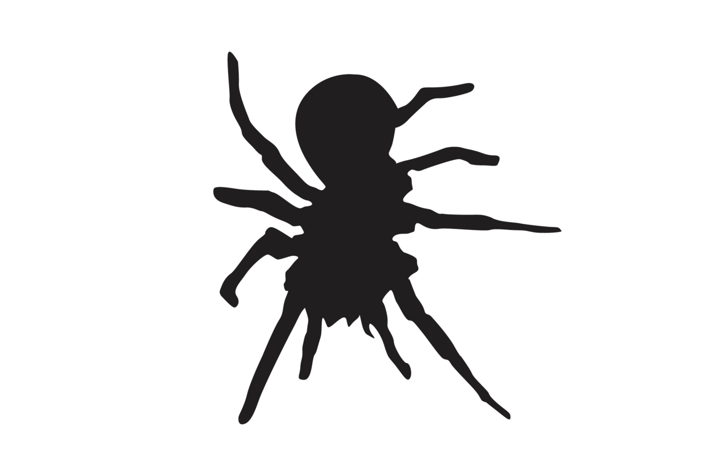 Animal-Insect-Spider Silhouette Pattern Background png