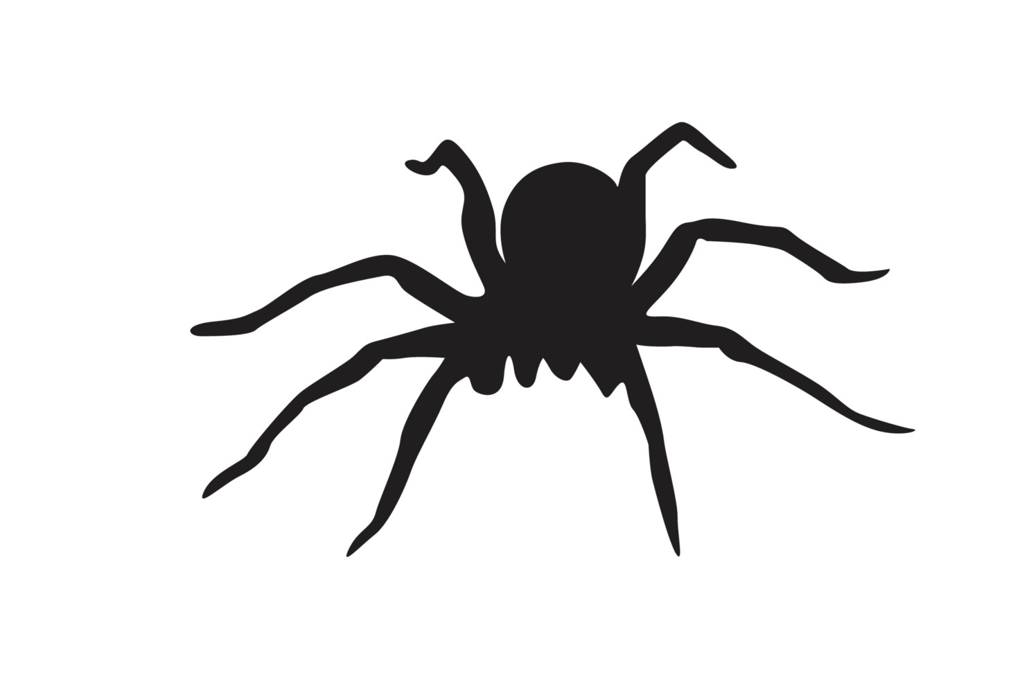 Animal-Insect-Spider Silhouette Pattern Background png